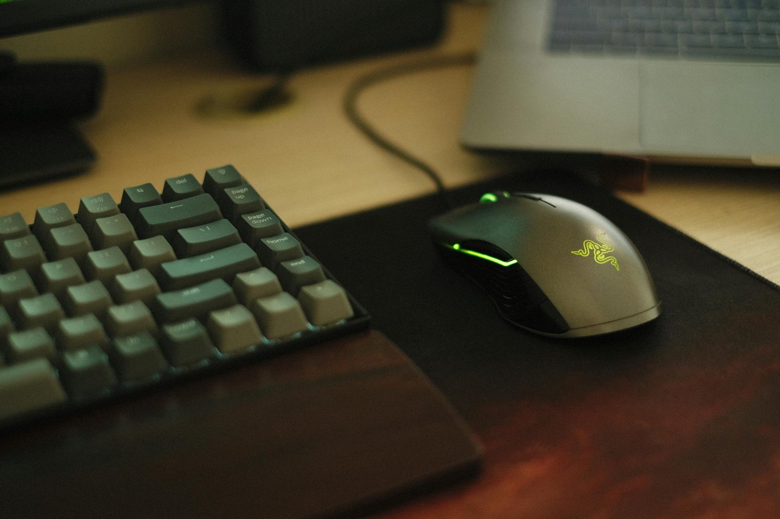 razer vs logitech gaming gear