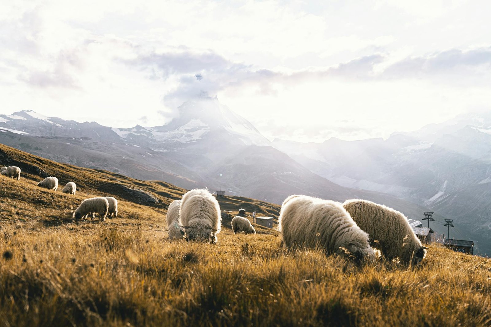 workaway vs wwoofing