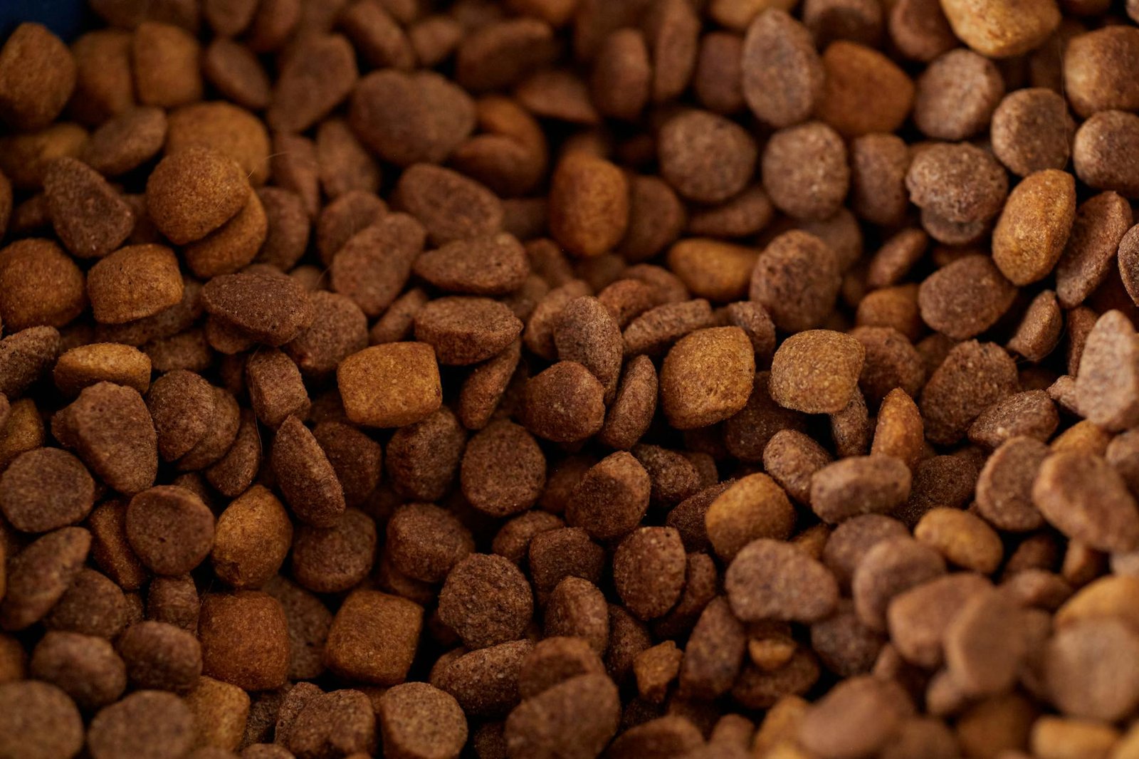 hill's science diet vs royal canin dog food