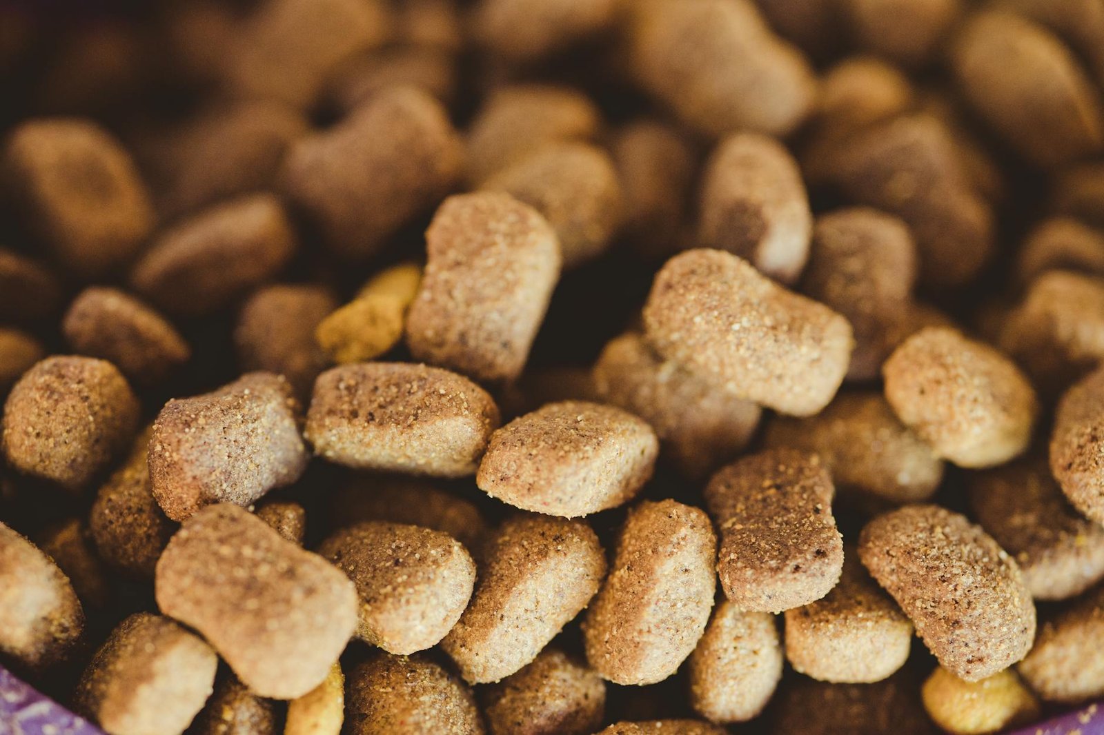 limited ingredient vs hypoallergenic dog food